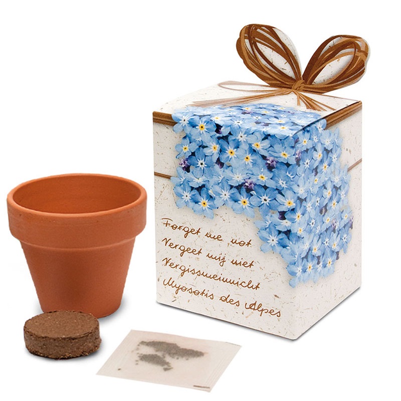 Flower pot with seeds in box